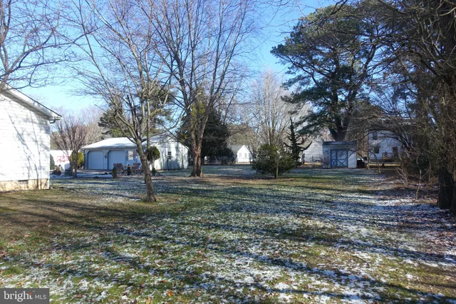a view of a yard with a large tree