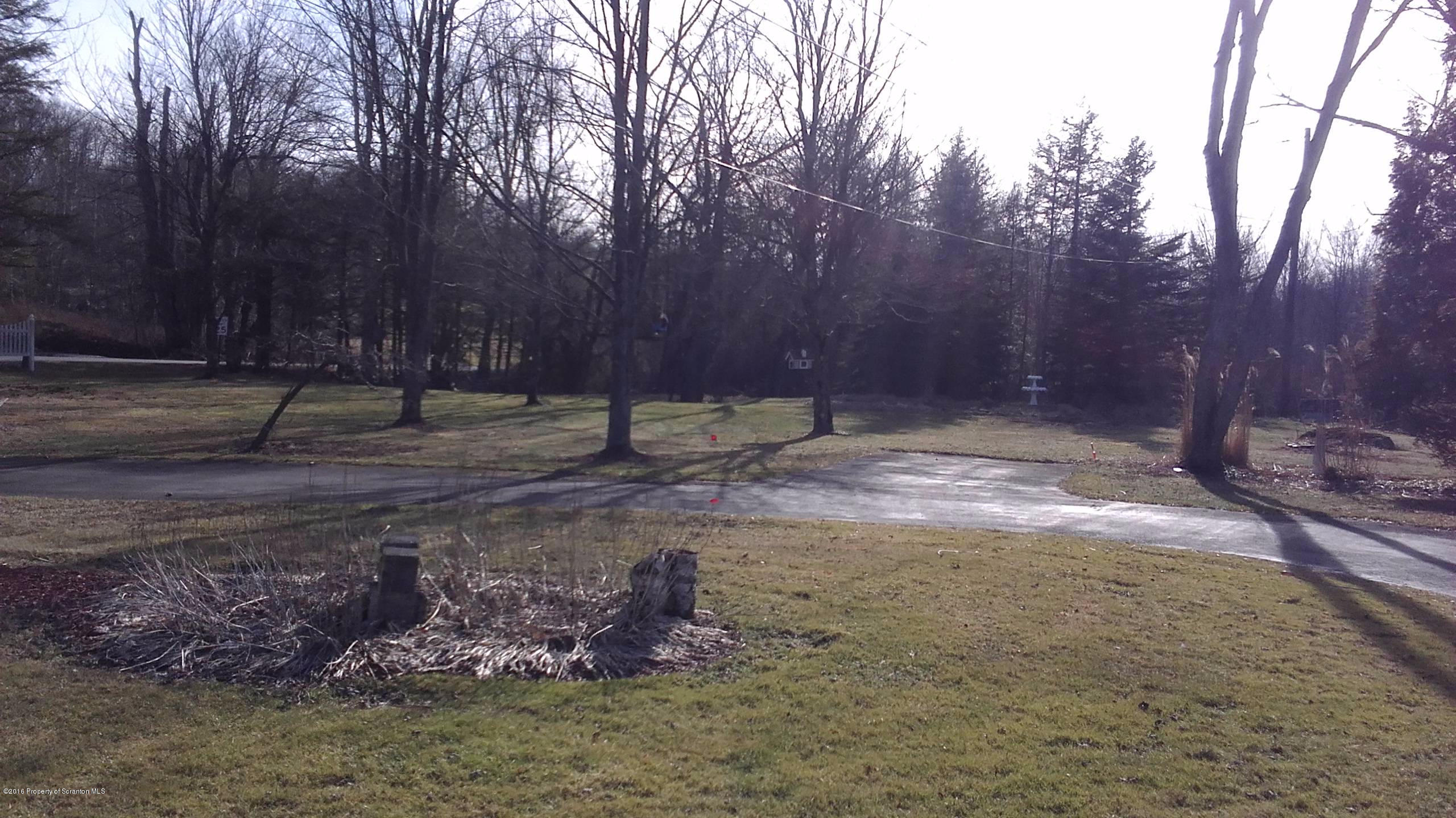 3225 Major Road Moscow, PA 18444 - Photo 20 of 27 a view of a yard with a tree