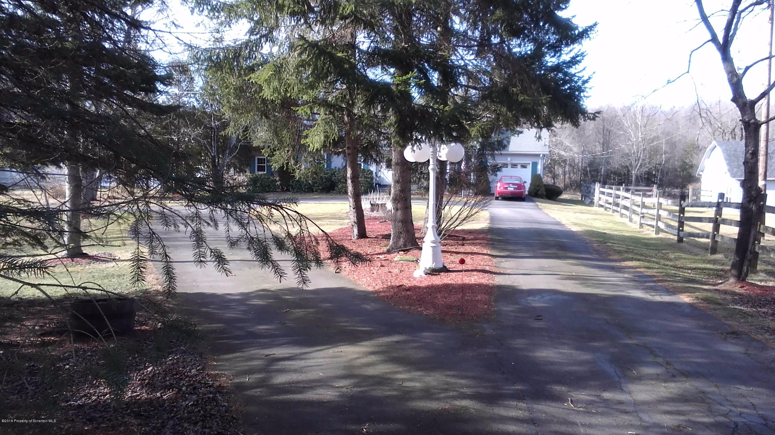 3225 Major Road Moscow, PA 18444 - Photo 25 of 27 a tree in the middle of a yard