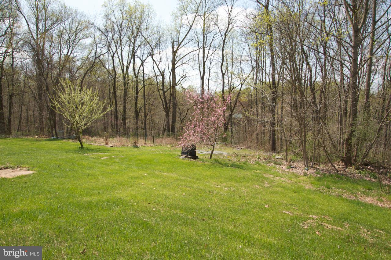 704 McCauley Road Conowingo, MD 21918 - Photo 21 of 27 Exterior (General)