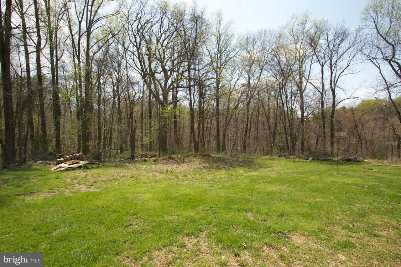 704 McCauley Road Conowingo, MD 21918 - Photo 23 of 27 Exterior (Rear)