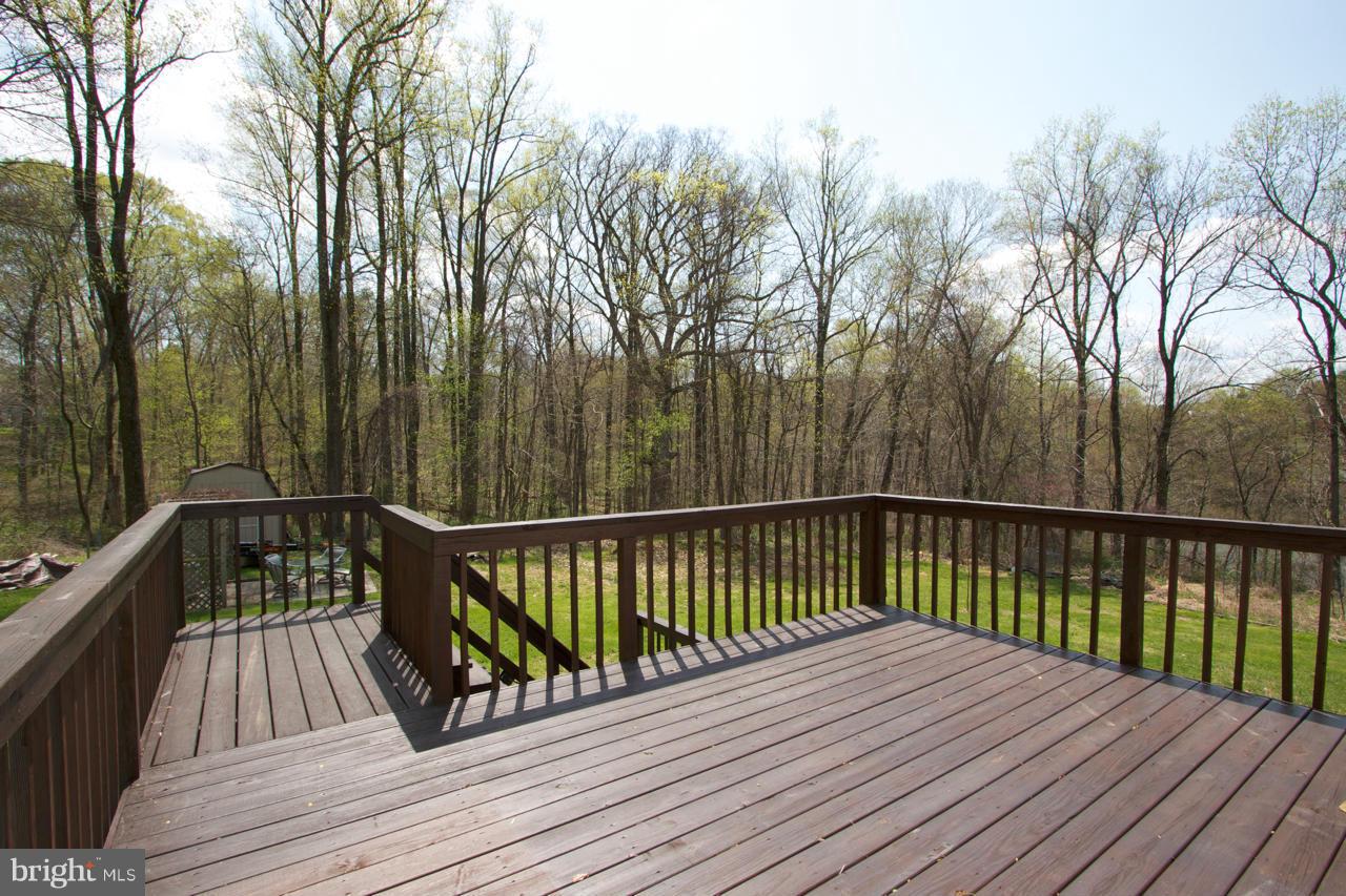 704 McCauley Road Conowingo, MD 21918 - Photo 25 of 27 Exterior (Rear)