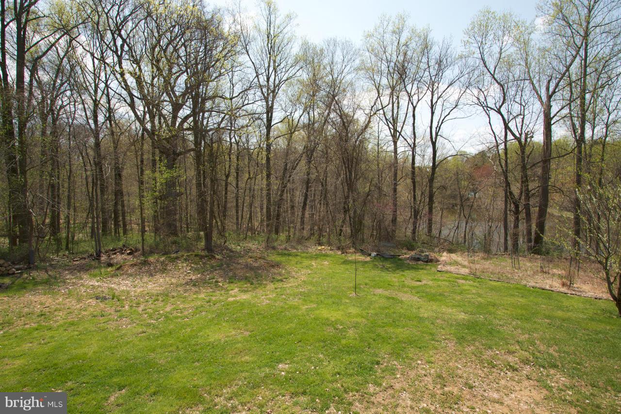 704 McCauley Road Conowingo, MD 21918 - Photo 26 of 27 Exterior (Rear)