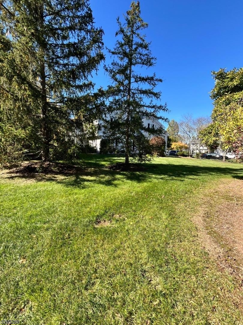 133 Mockingbird Court Three Bridges, NJ 08887 - Photo 19 of 21 a view of a field of grass and trees