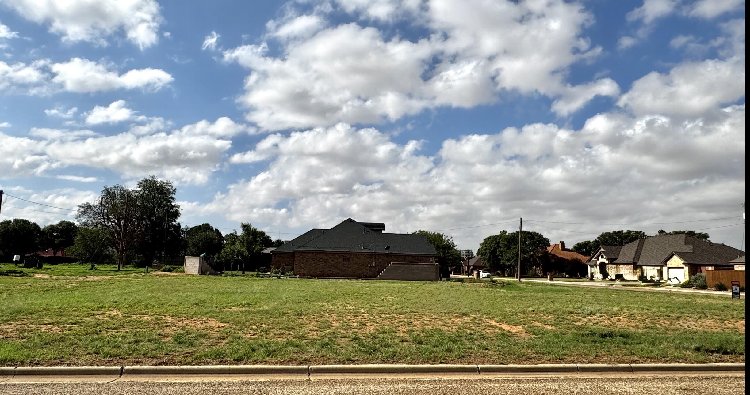 a view of a big yard with plants and large trees