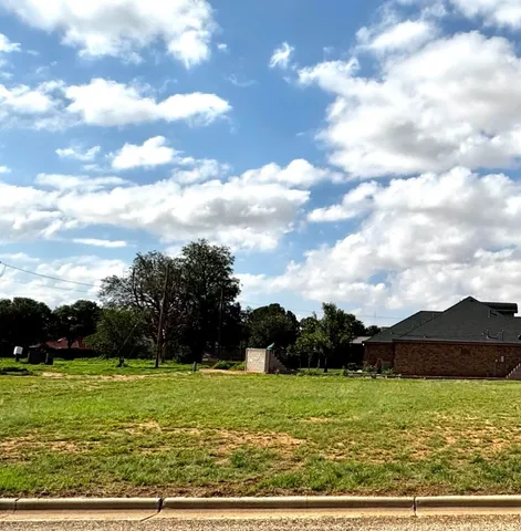 a view of a big yard