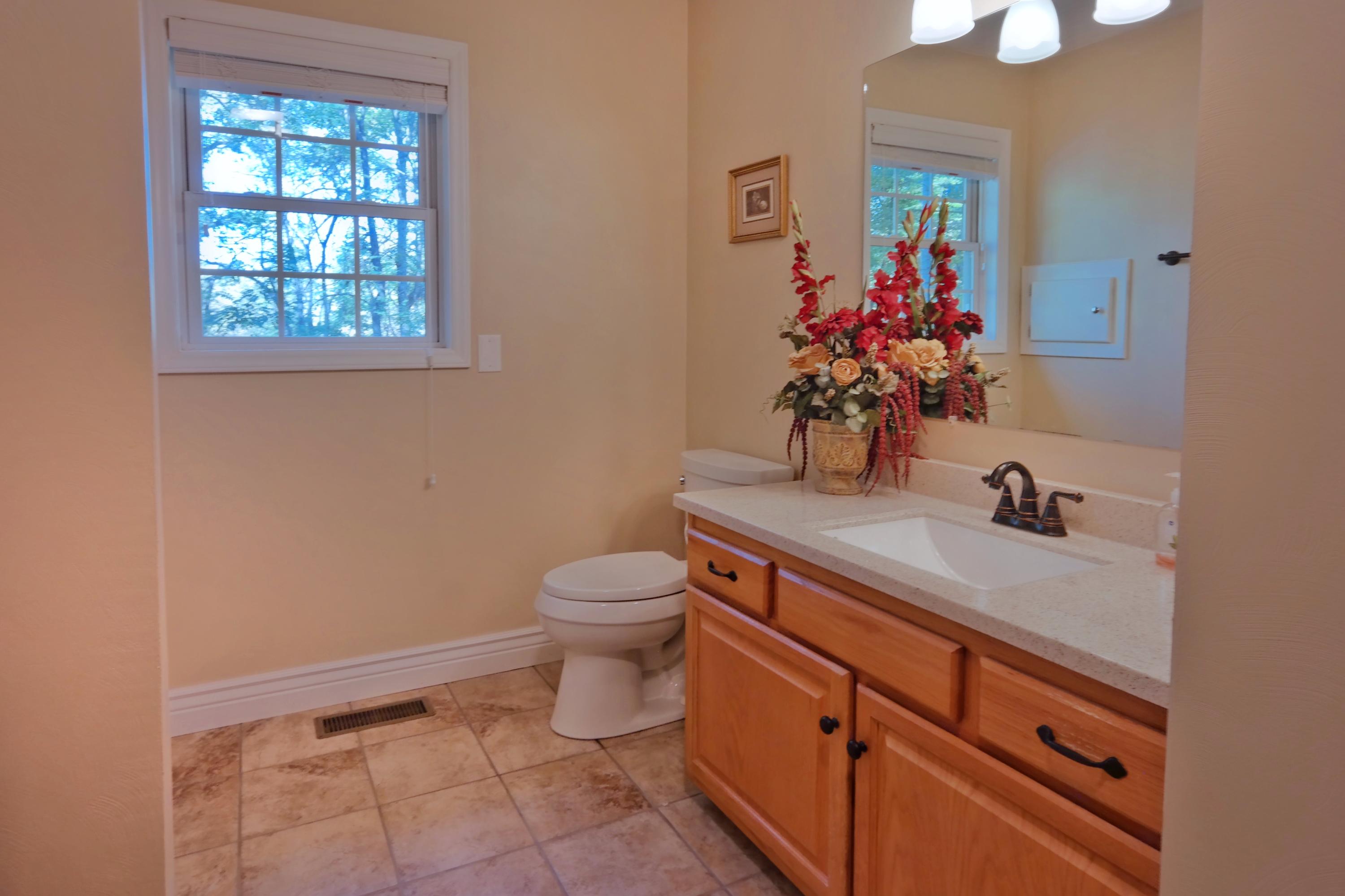 3136 Springwood Road Fincastle, VA 24090 - Photo 17 of 31 Bathroom