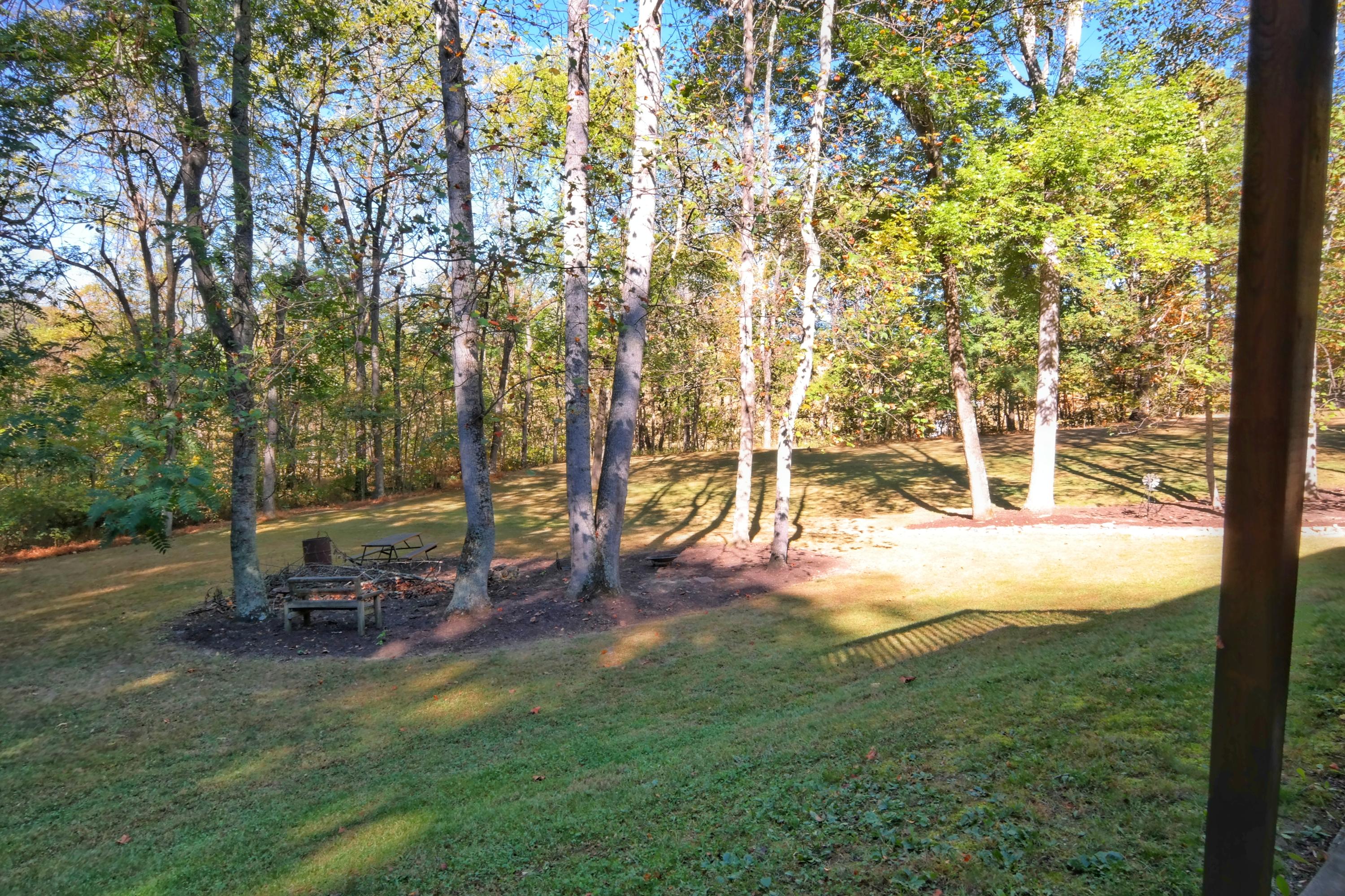 3136 Springwood Road Fincastle, VA 24090 - Photo 25 of 31 Back Patio and Yard