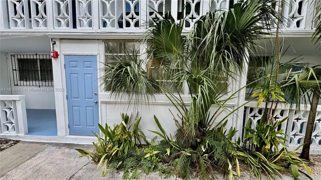 a view of a potted plants