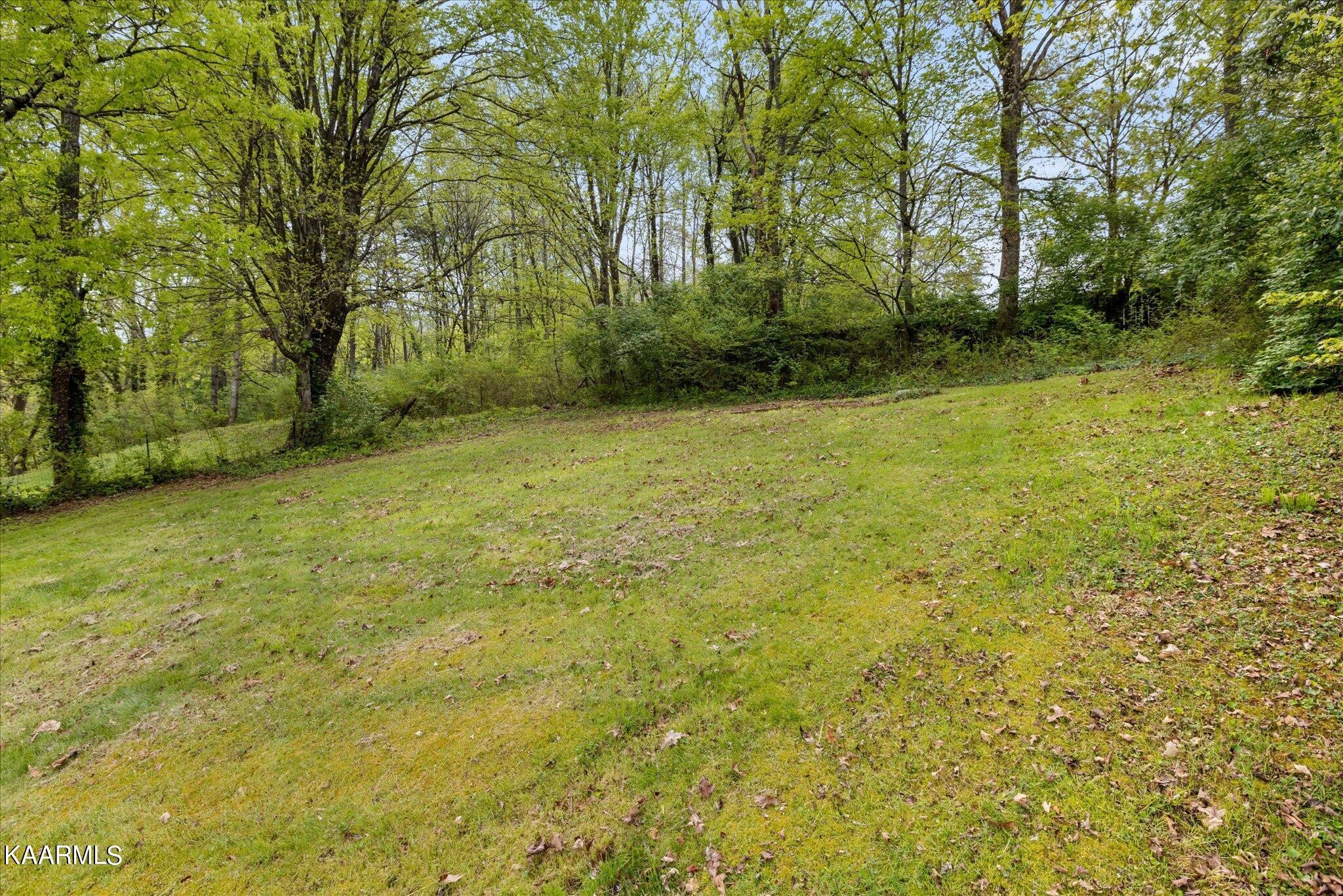 1408 Taylor Road Knoxville, TN 37920 - Photo 18 of 20 Gallery Image 18