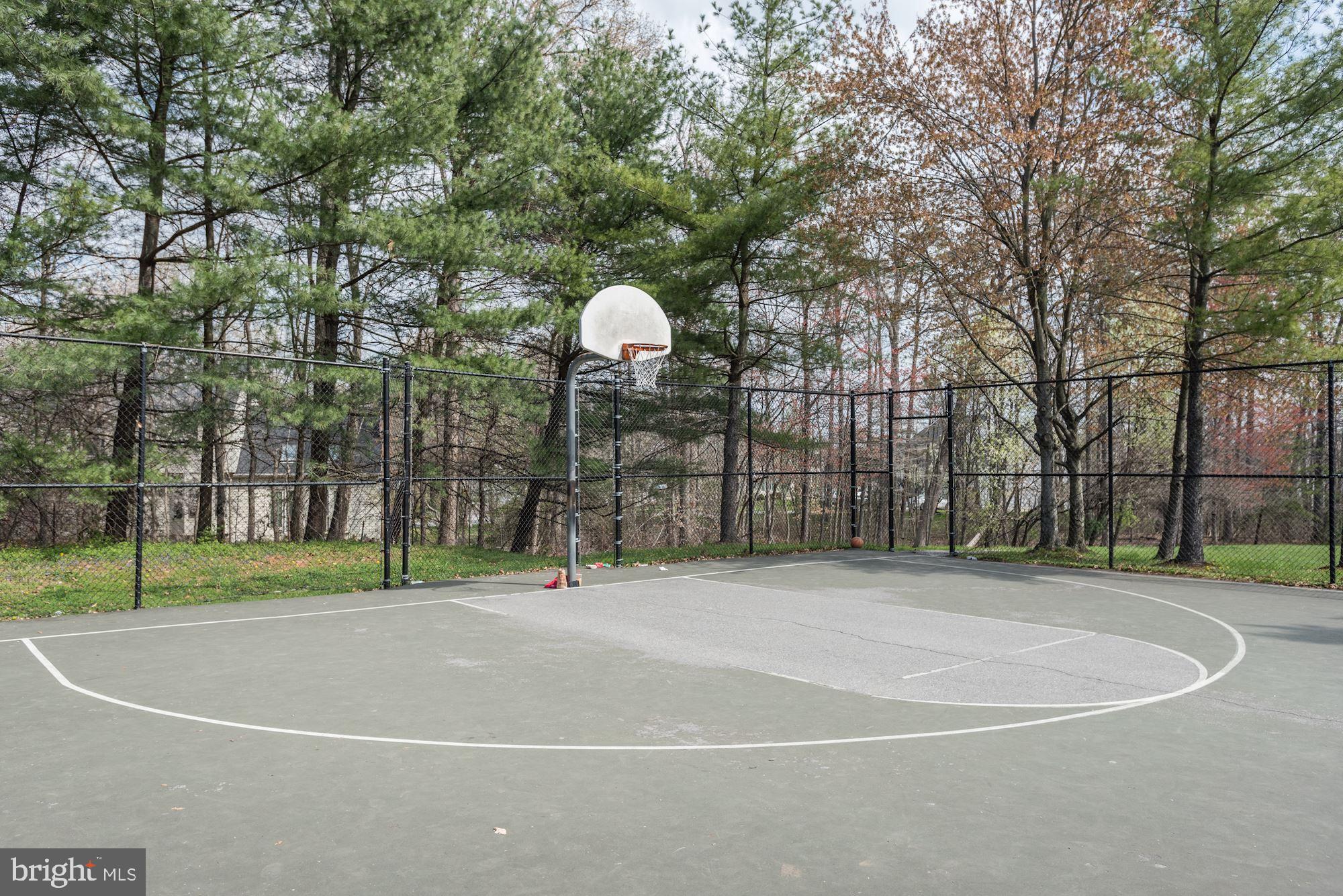 3022 Spice Bush Road Laurel, MD 20724 - Photo 37 of 42 Community Sports Court