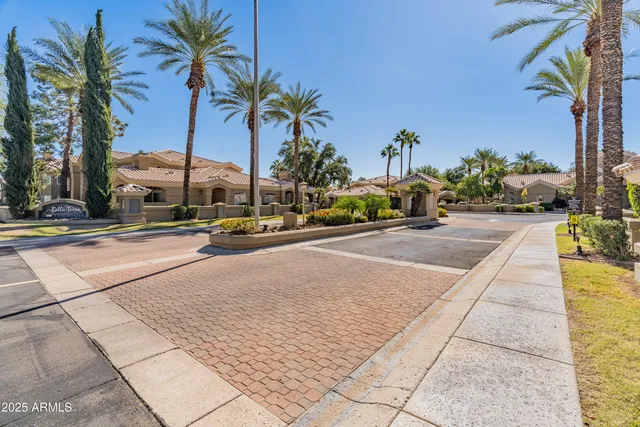 a row of palm trees sitting on a sidewalk