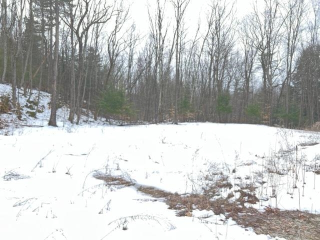 2120 Upper Plains Road Salisbury, VT 05769 - Photo 7 of 17