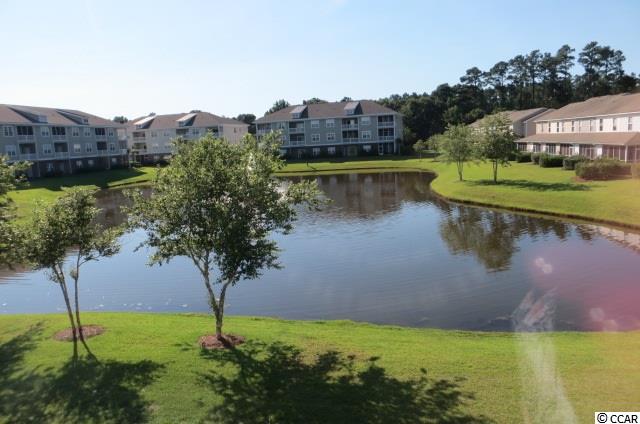 314 Kiskadee Loop, Unit F Conway, SC 29526 - Photo 19 of 21