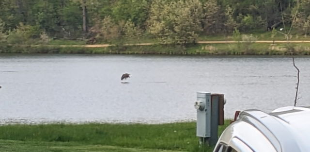 23-93 Woodhaven Lakes Sublette, IL 61367 - Photo 19 of 28