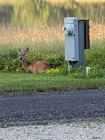 a view of lake from balcony