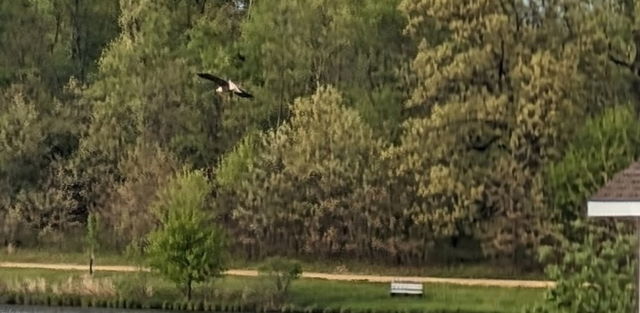 23-93 Woodhaven Lakes Sublette, IL 61367 - Photo 3 of 28