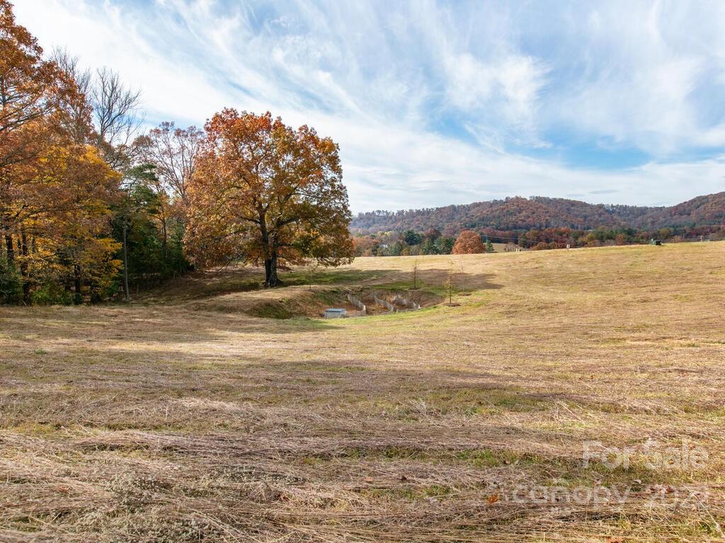 217 Thistle Ridge, Unit 12 Fletcher, NC 28732 - Photo 3 of 15 Gallery Image 3