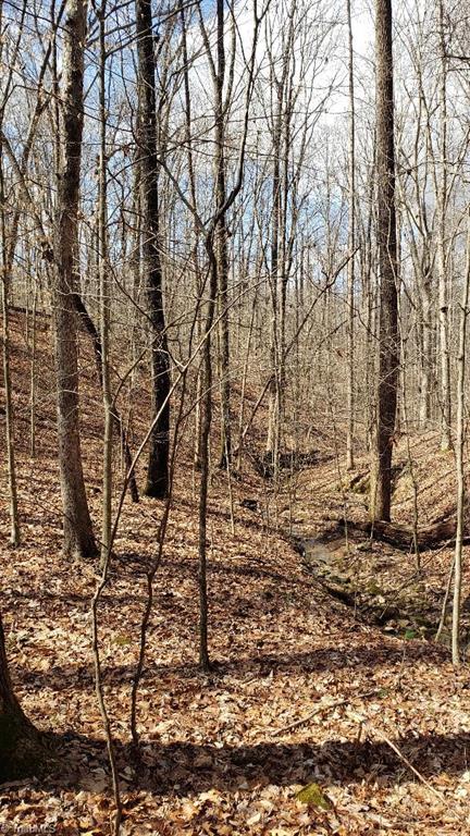 833 Calahaln Road Mocksville, NC 27028 - Photo 12 of 15 A spring stream in the hardwoods