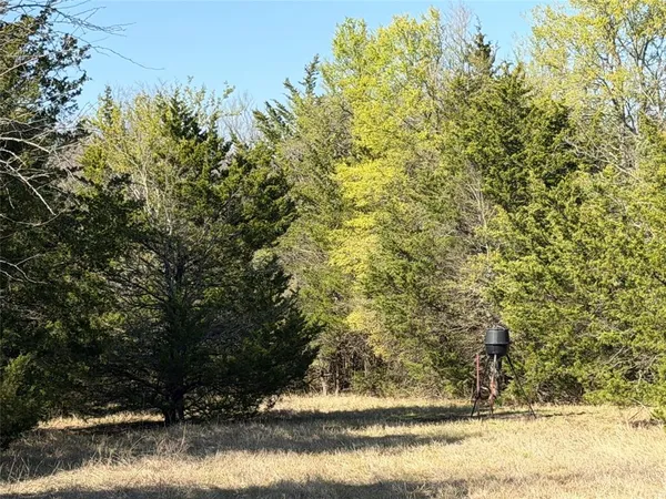 a tall yard with trees in the background