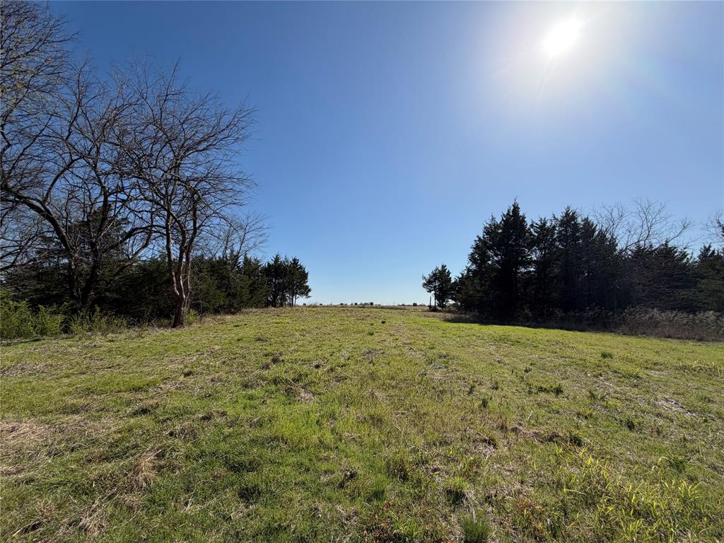 Tbd Crews Road Bells, TX 75414 - Photo 13 of 40 a tall yard with trees in the background