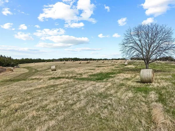 a view of a yard