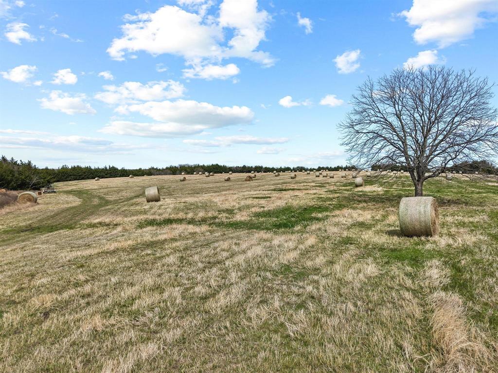 Tbd Crews Road Bells, TX 75414 - Photo 14 of 40 a view of an ocean and beach