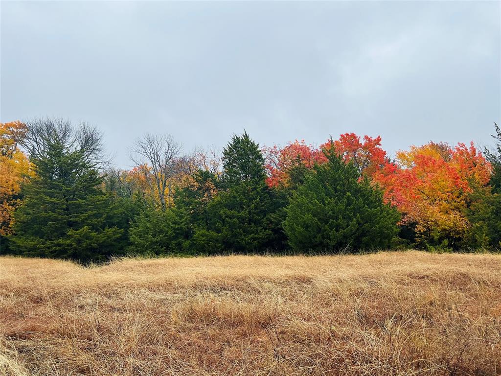 Tbd Crews Road Bells, TX 75414 - Photo 15 of 40 a view of a yard