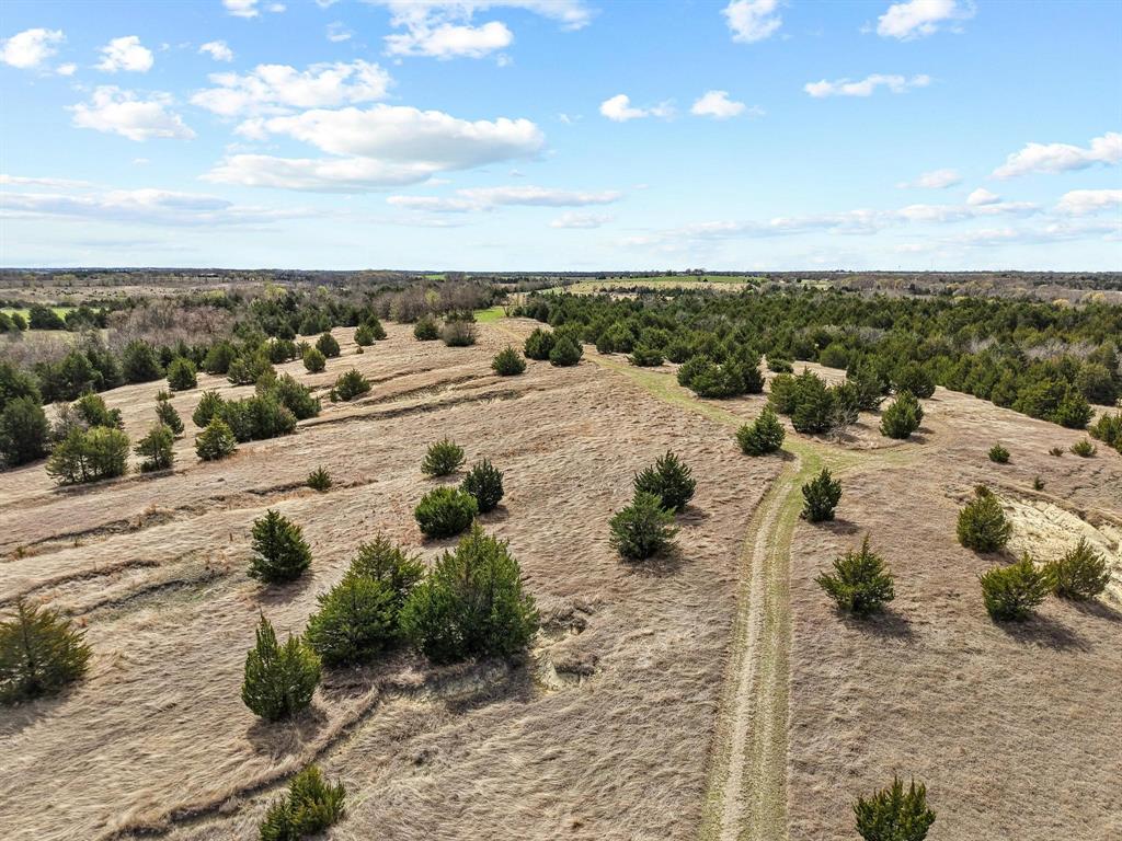 Tbd Crews Road Bells, TX 75414 - Photo 23 of 40
