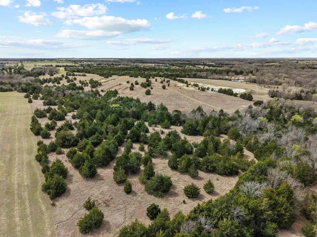 Tbd Crews Road Bells, TX 75414 - Photo 28 of 40 an aerial view of a city
