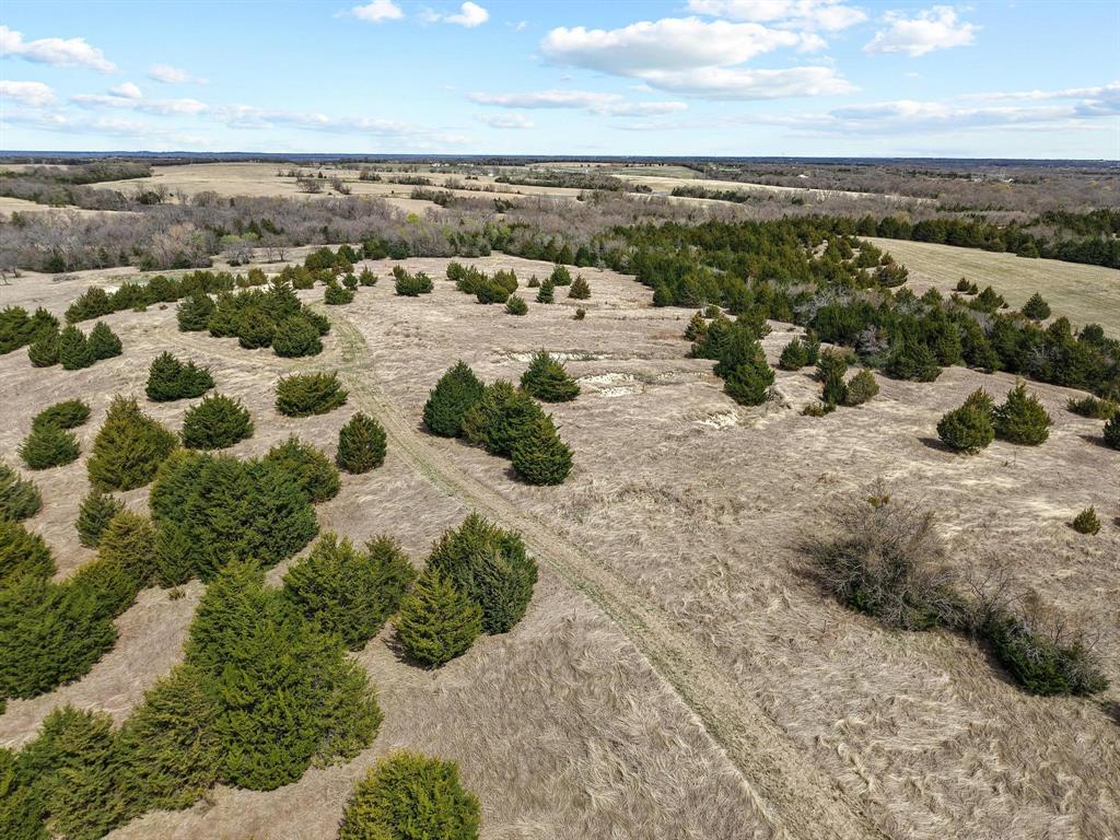 Tbd Crews Road Bells, TX 75414 - Photo 29 of 40