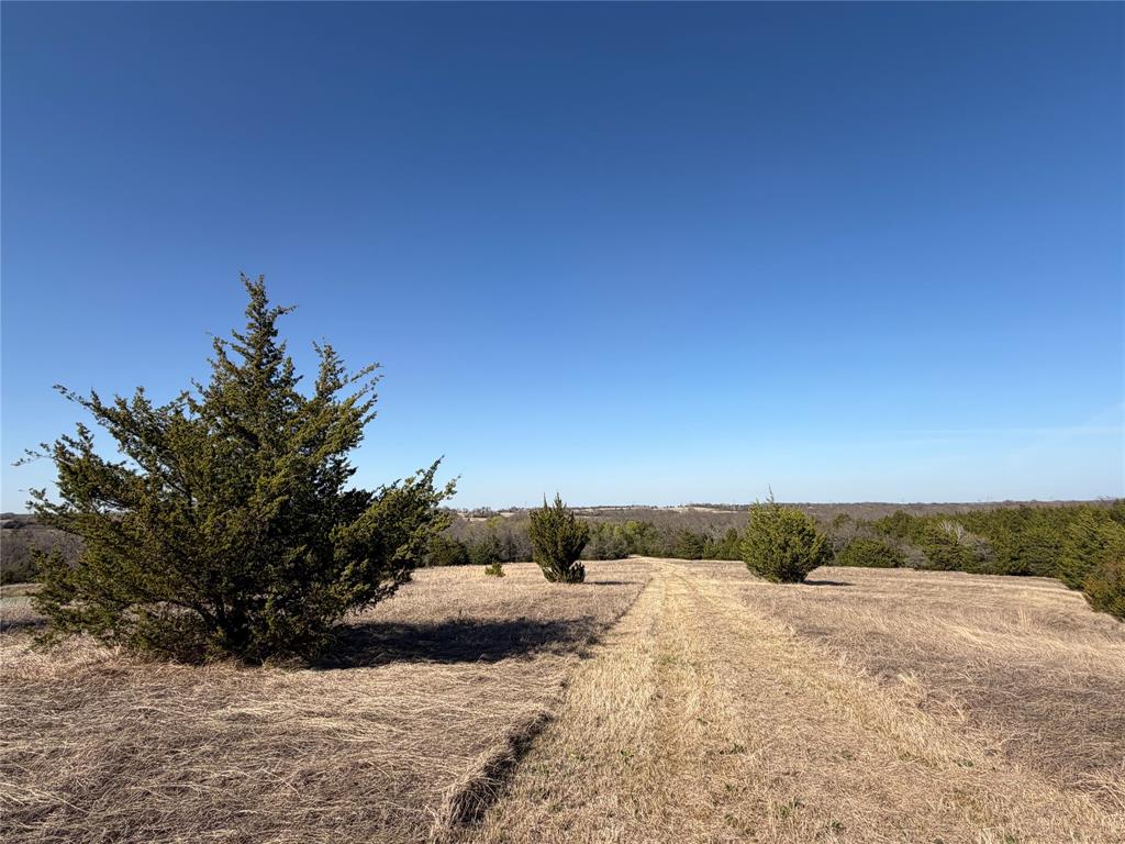 Tbd Crews Road Bells, TX 75414 - Photo 35 of 40 a view of a dry yard with a tree