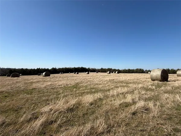 $1,650,000 | Tbd Crews Road, Bells, TX 75414