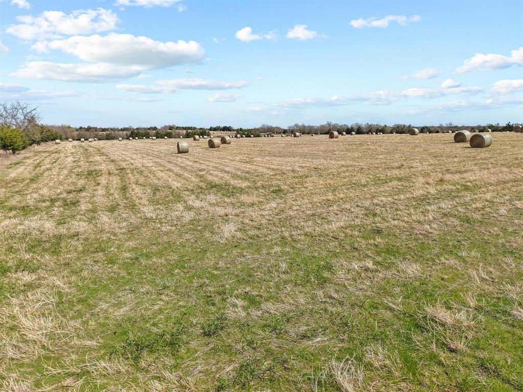 Tbd Crews Road Bells, TX 75414 - Photo 6 of 40 a view of an ocean