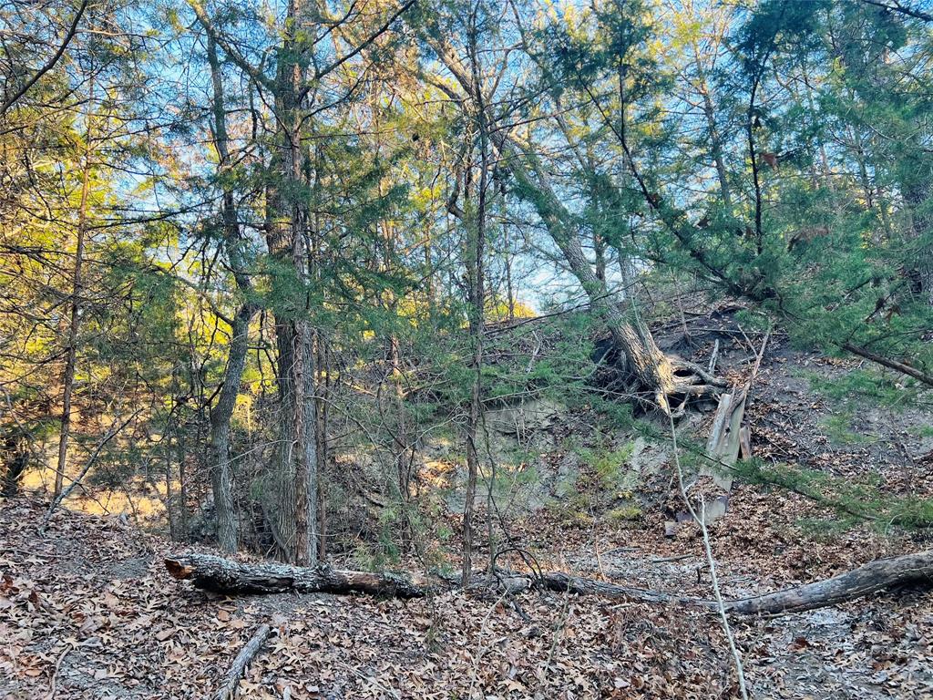 Tbd Crews Road Bells, TX 75414 - Photo 7 of 40 a backyard of a house with lots of green space