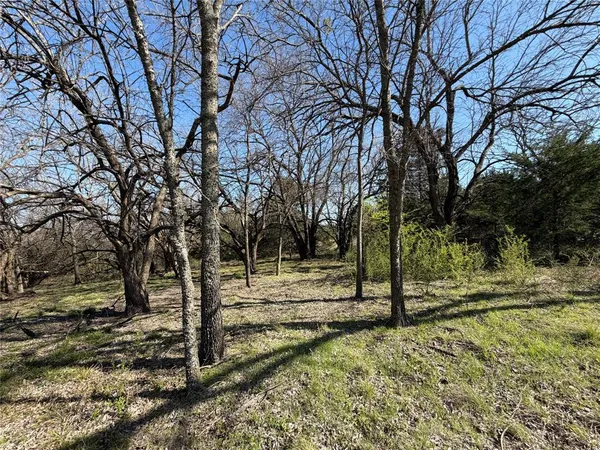 a view of a yard with a tree
