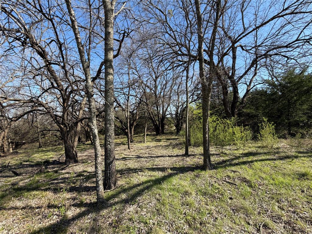 Tbd Crews Road Bells, TX 75414 - Photo 8 of 40 a view of a yard with a tree