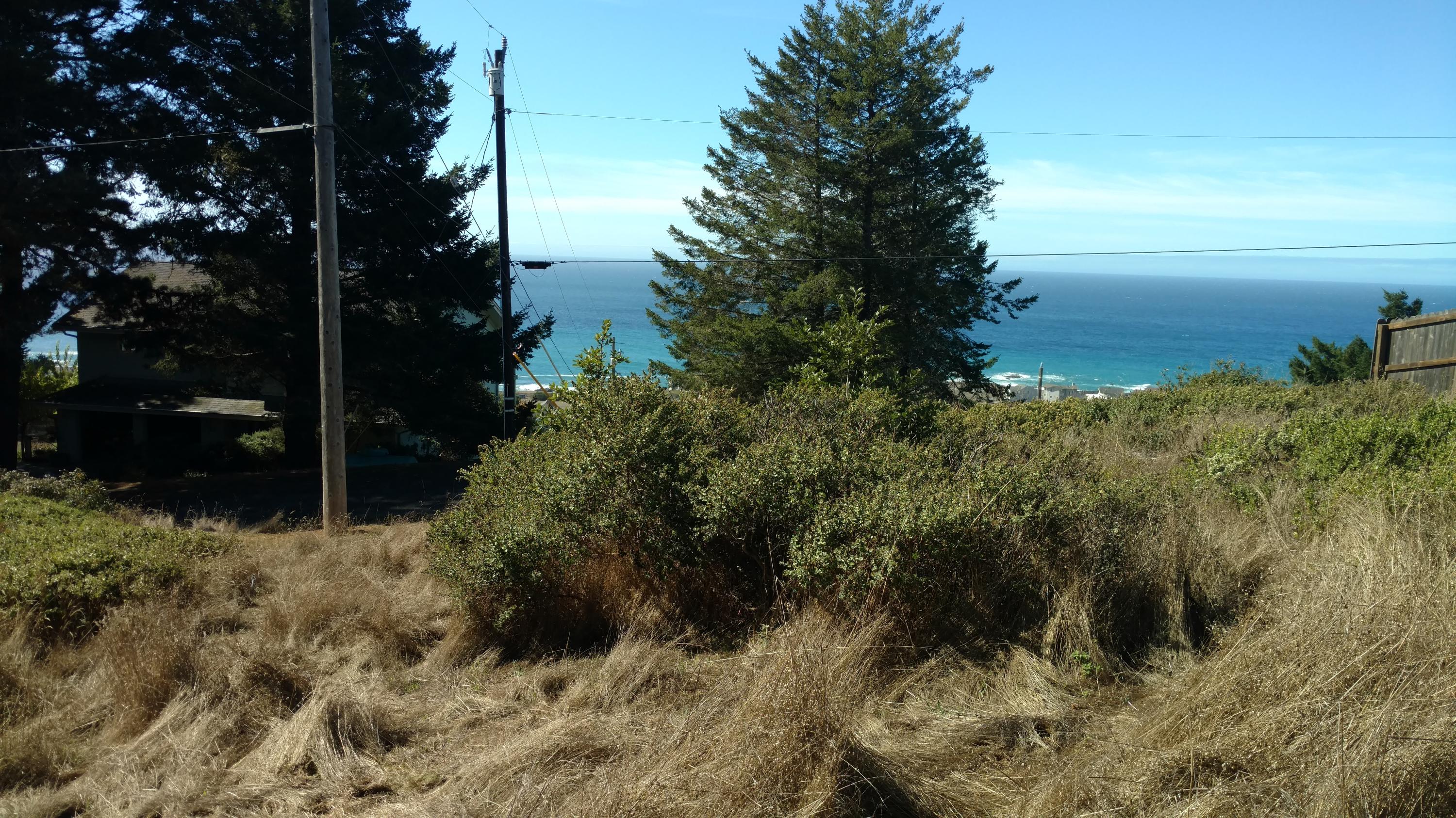 85 Shaker Road Shelter Cove, CA 95589 - Photo 1 of 5