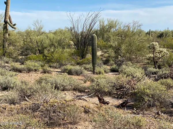 $130,000 | 0 North Hexcel Road, Unit A, Florence, AZ 85132