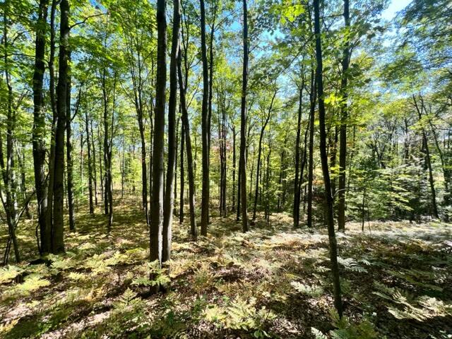 3675 Nasser (120 Acres) Road Fairview, MI 48621 - Photo 45 of 76 Gallery Image 45