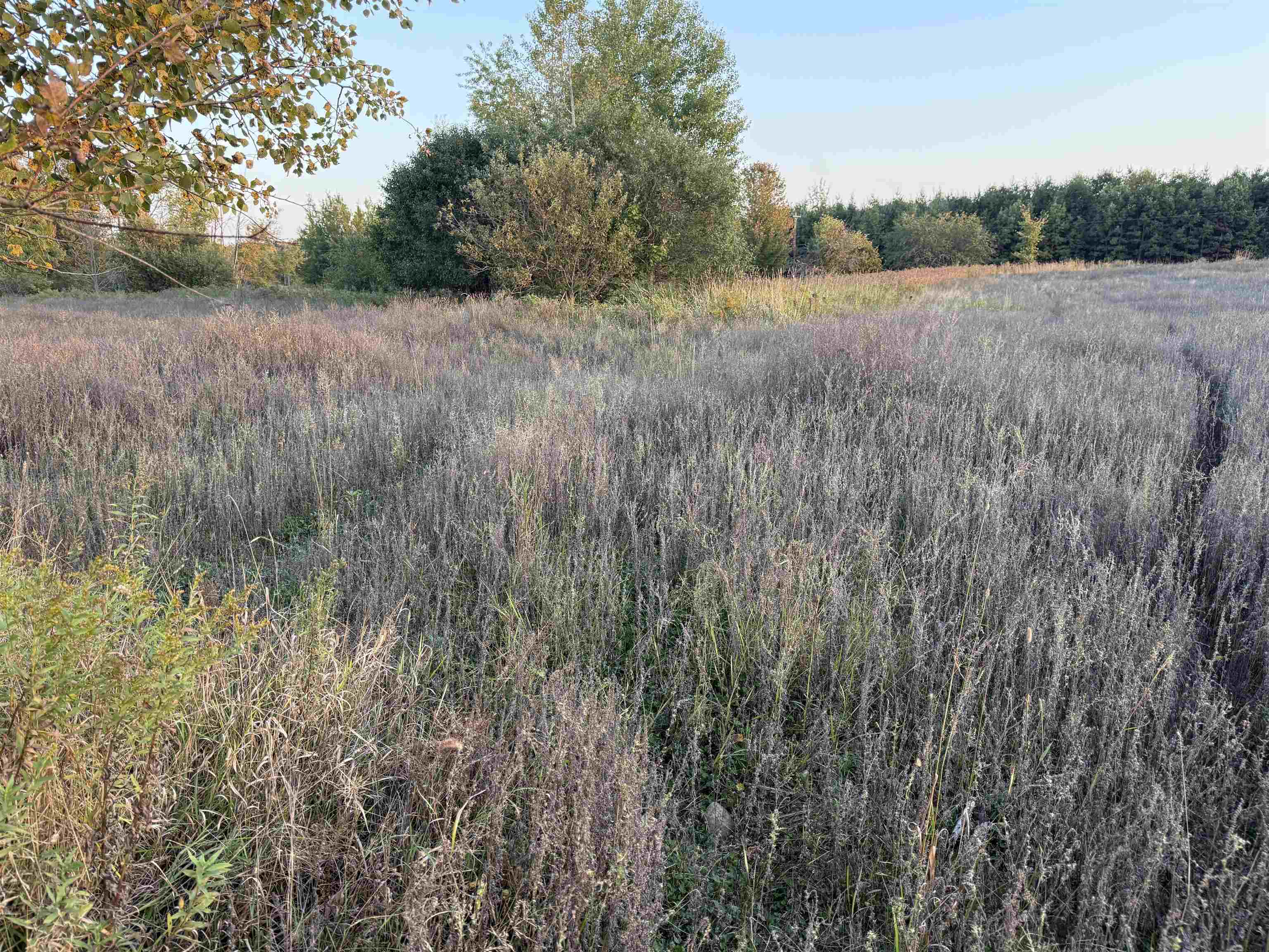 Lot 1 County Road Z Ringle, WI 54471 - Photo 3 of 17