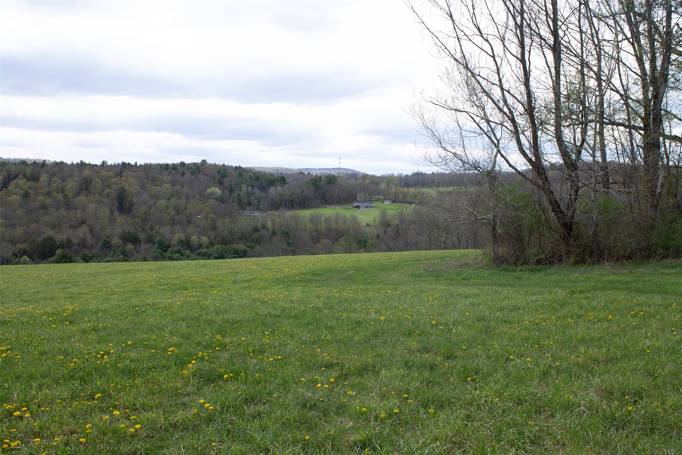 298 West Hill Road New Berlin, NY 13843 - Photo 21 of 25