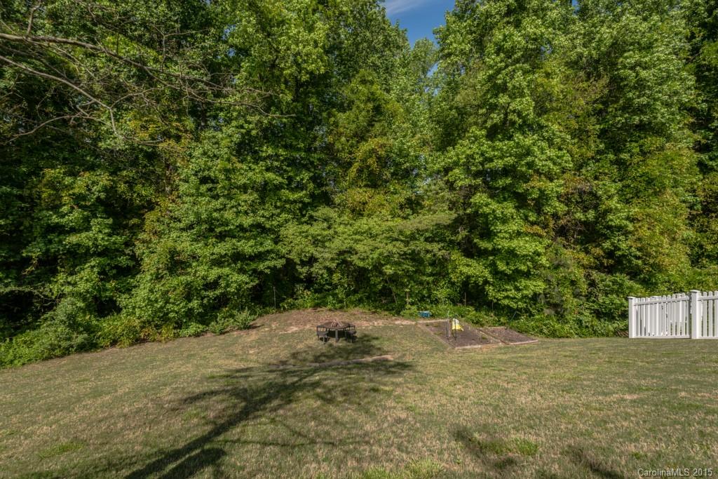 1151 Spicewood Pines Road Fort Mill, SC 29708 - Photo 23 of 24
