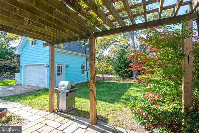 a view of a backyard with a large tree