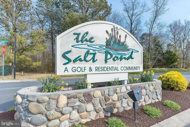 a picture of lake view