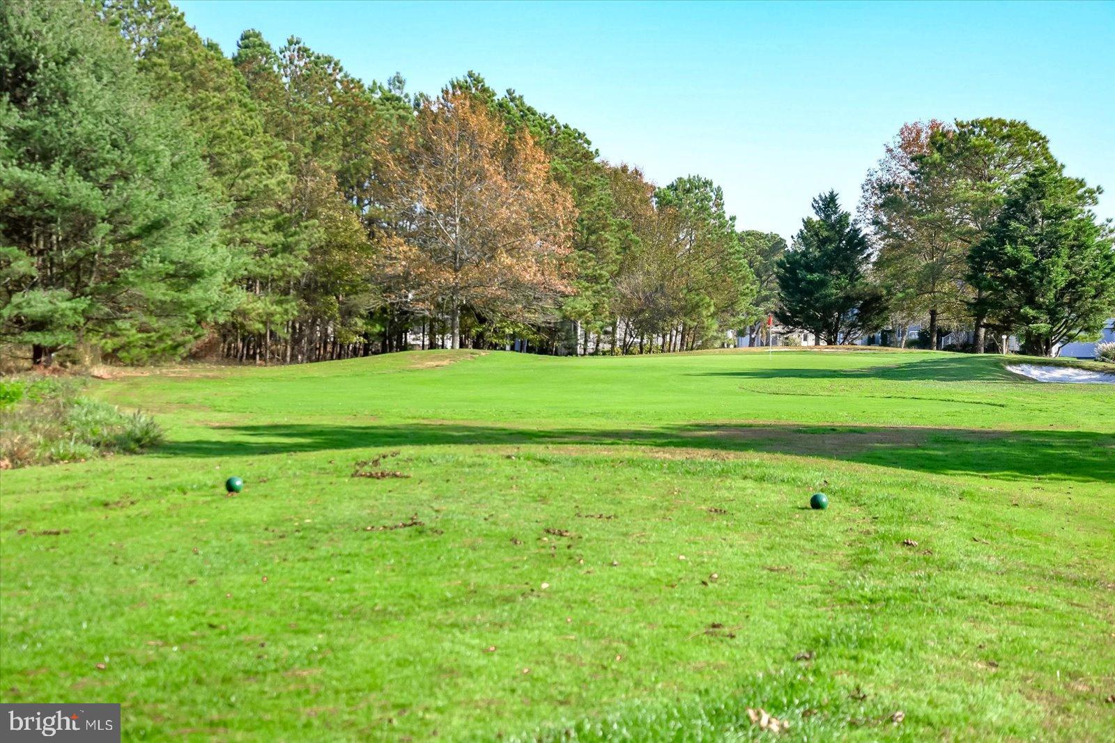 263 Oyster Shell Cove Bethany Beach, DE 19930 - Photo 48 of 50 a view of a grassy field with trees
