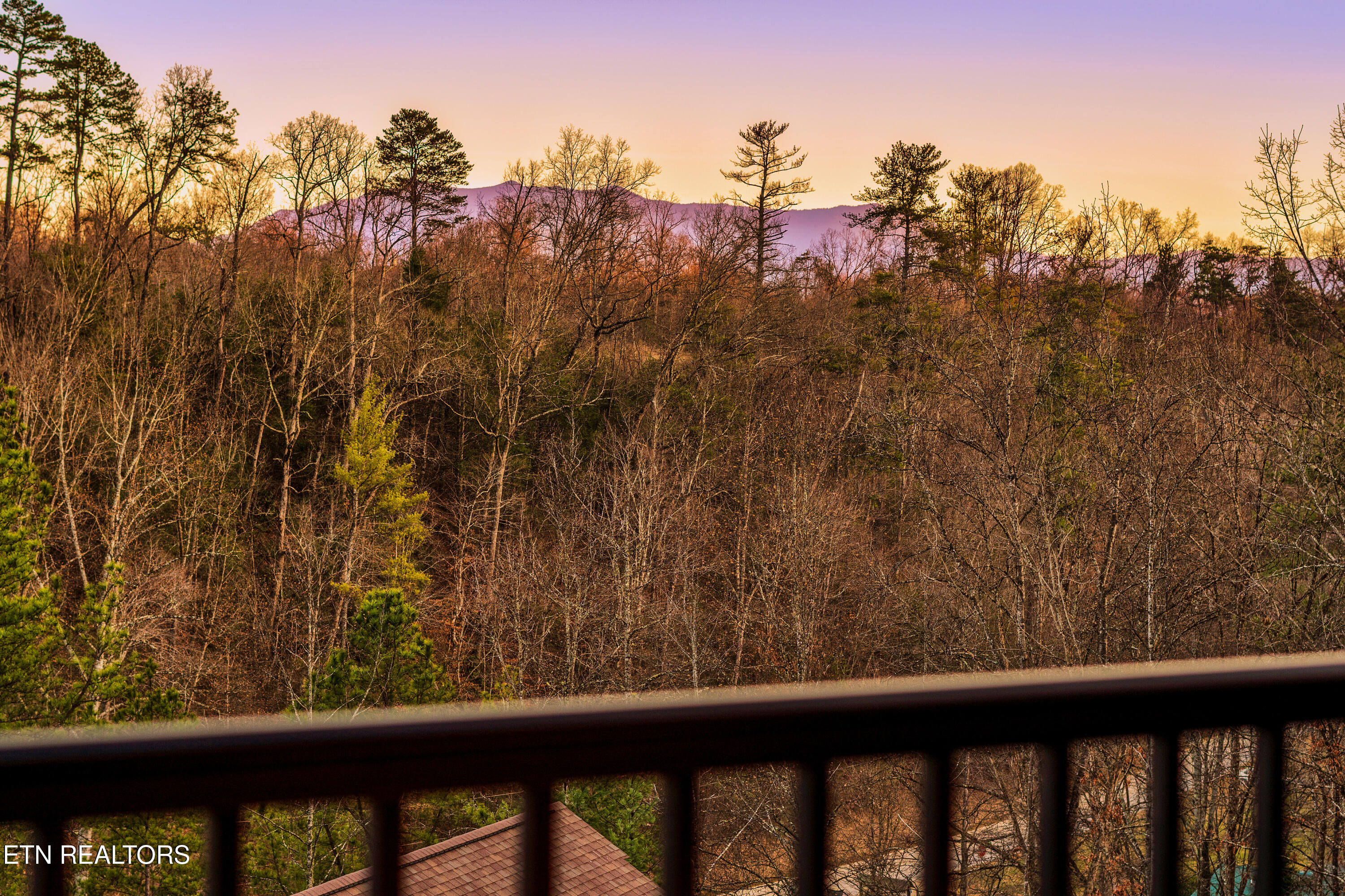 3031 Ridge Top Resort Way Pigeon Forge, TN 37863 - Photo 6 of 57 3031 Ridgetop Resort 168-4000