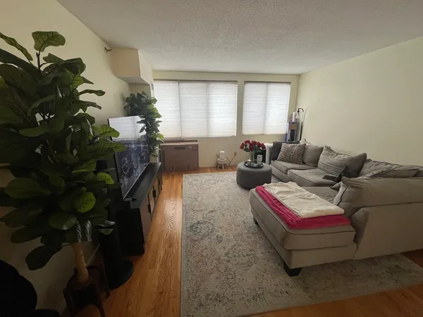 a living room with furniture and a potted plant