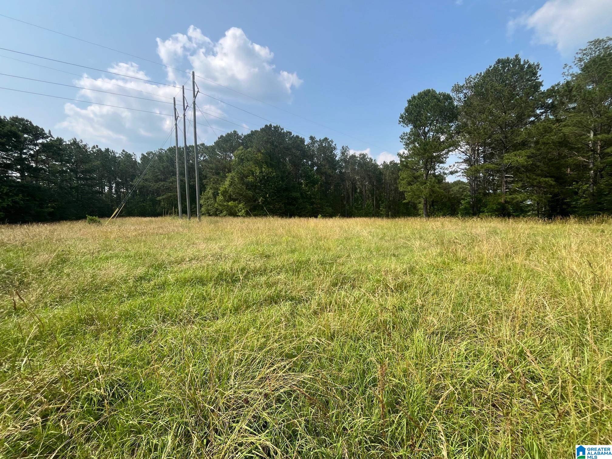 91 County Road Roanoke, AL 36274 - Photo 8 of 11 Gallery Image 8