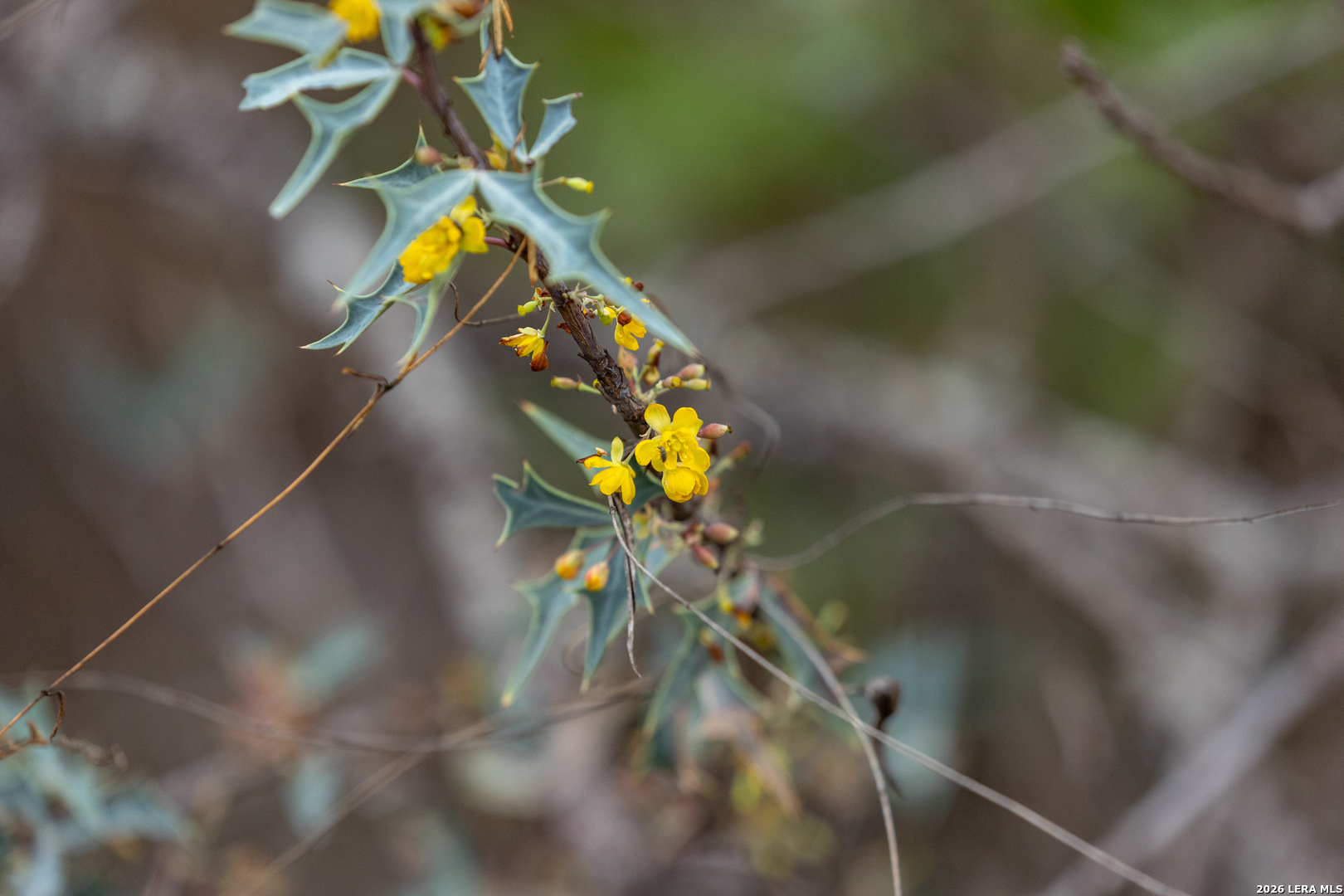 430 Frio Cyn Loop Concan, TX 78838 - Photo 52 of 53